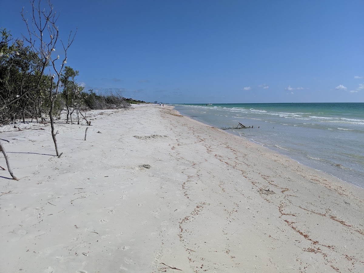 Caladesi Island State Park