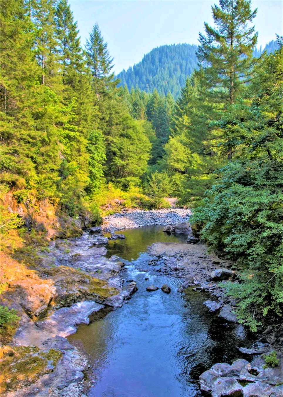 Wilson River