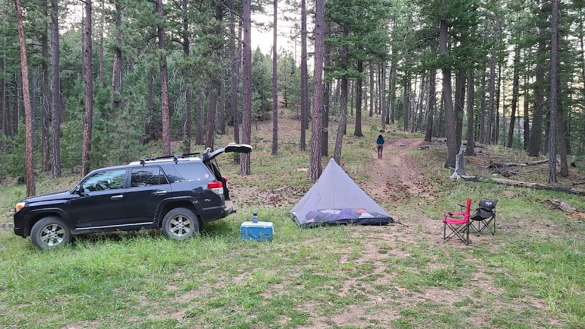 Skyline Trail (251)
