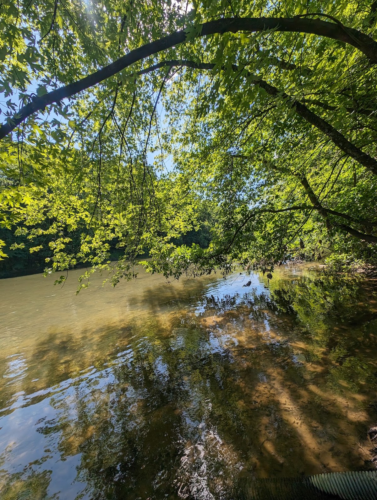 Conodoguinet Creek