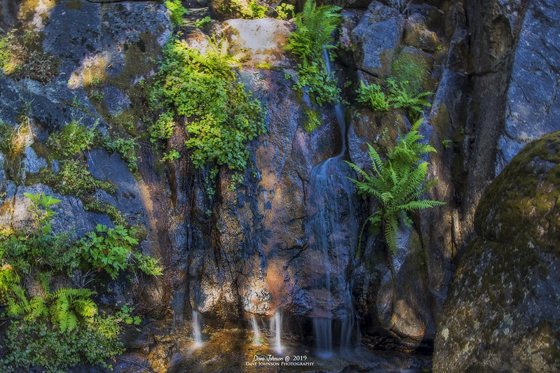 Tamarack Creek