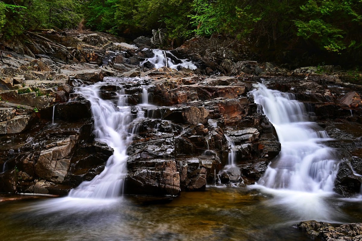 Fall Brook
