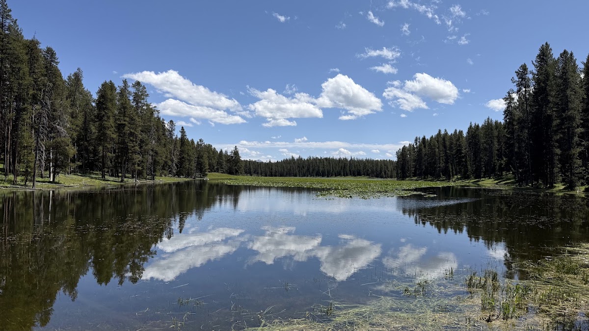 Heron Pond