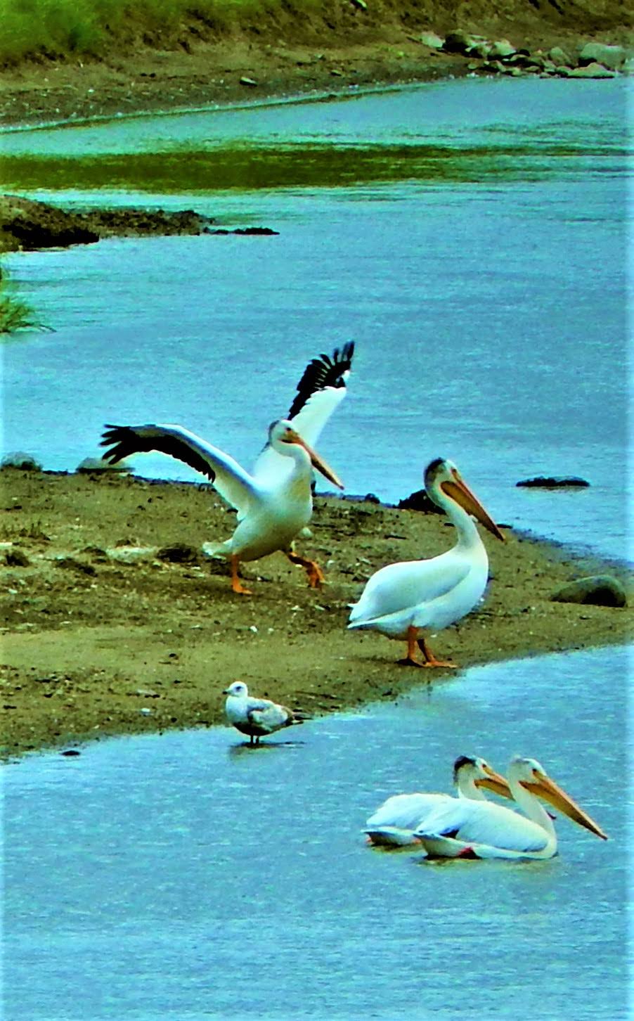 Lake Ardoch