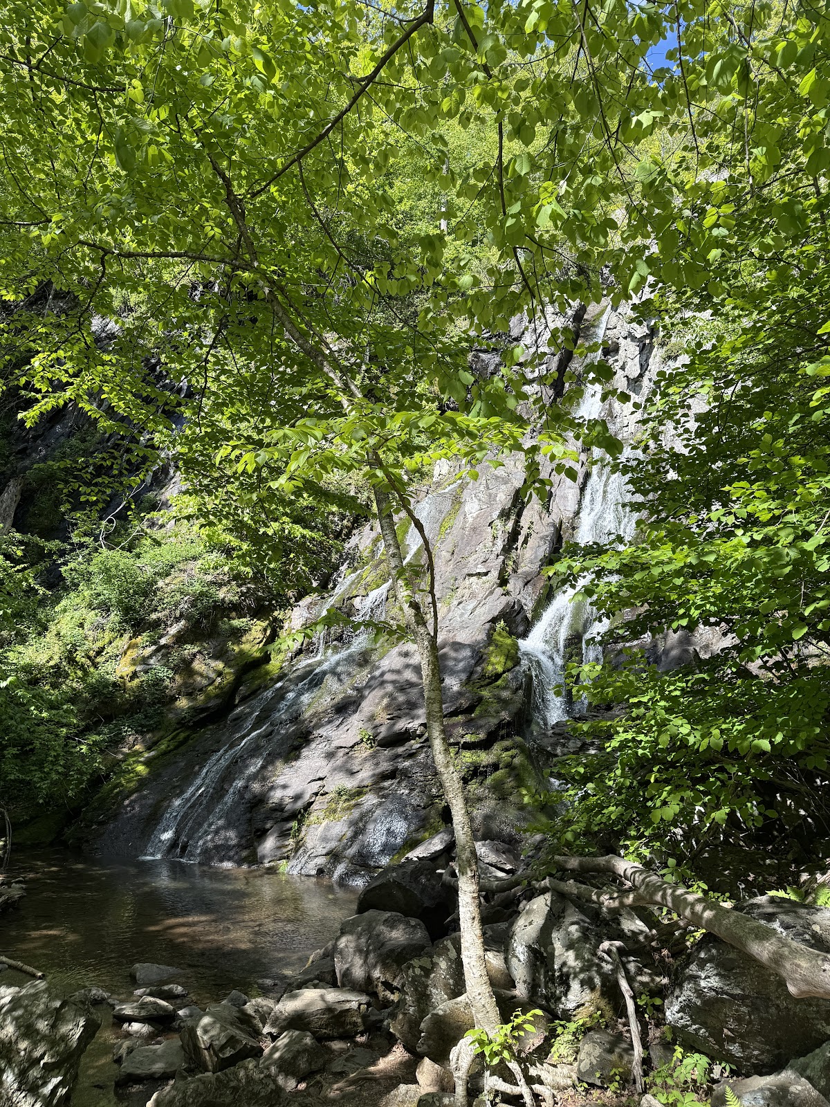 South River Falls Trail
