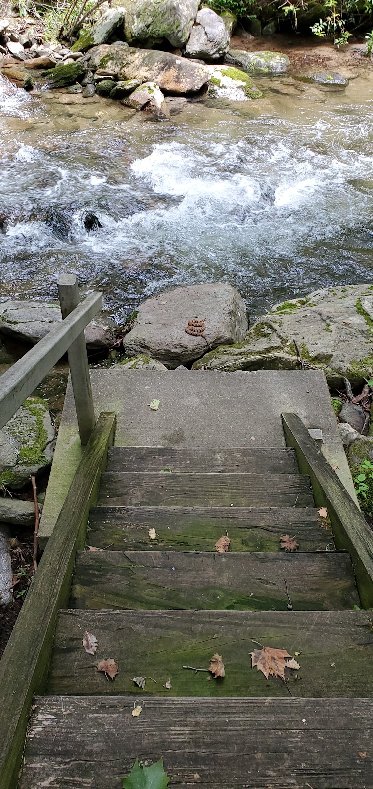 Curtis Creek