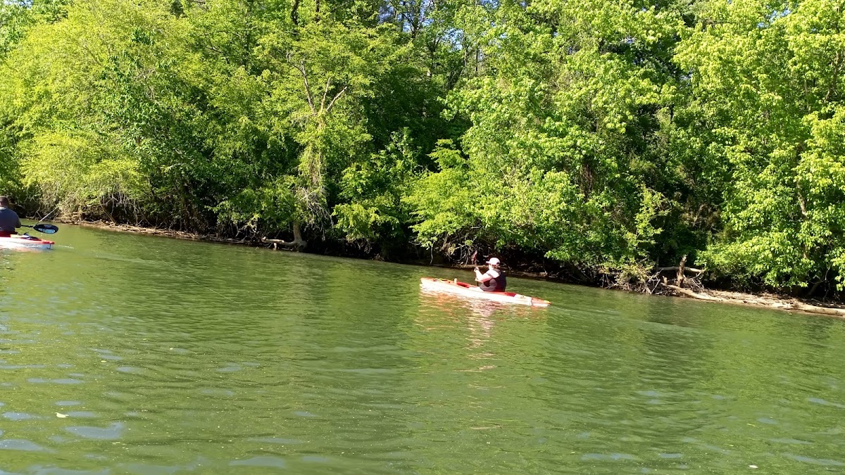 Johns River