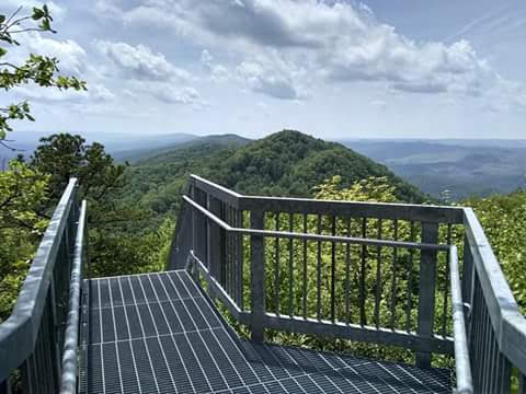 Pine Mountain State Scenic Trail - Birch Knob Section