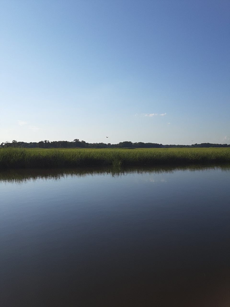 Murderkill River