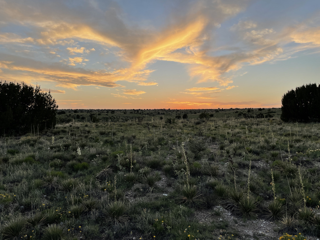 Black Mesa State Park;Lake Carl Etling Public Fishing Area