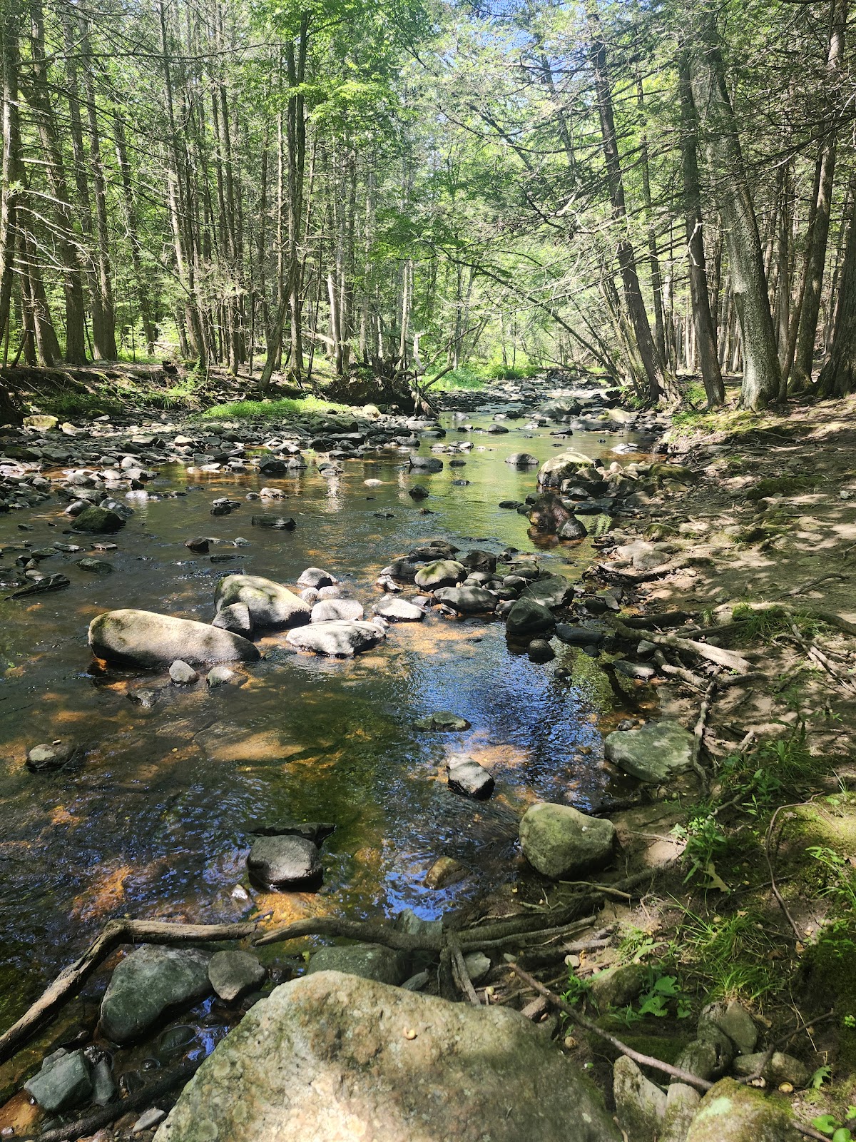Mashamoquet Brook