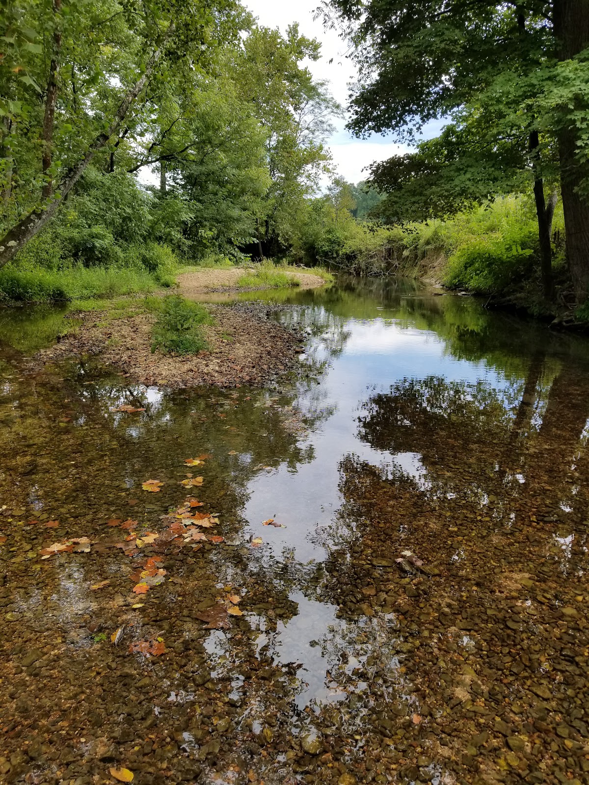 Donaldson Creek
