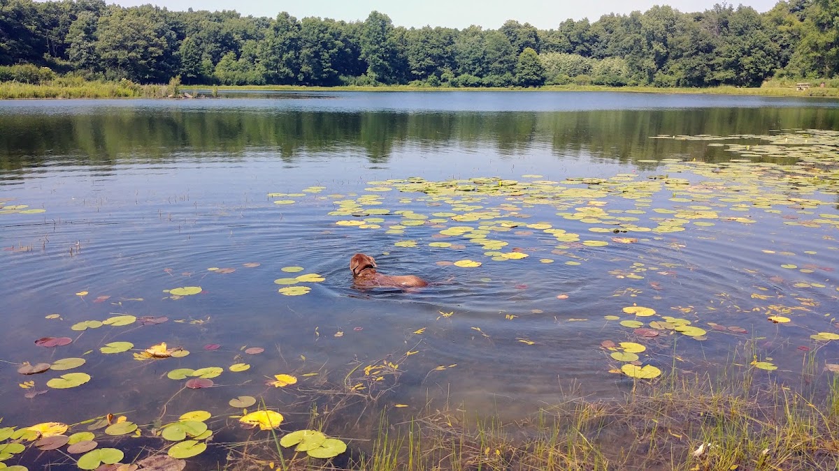 Oak Ridge Prairie County Park