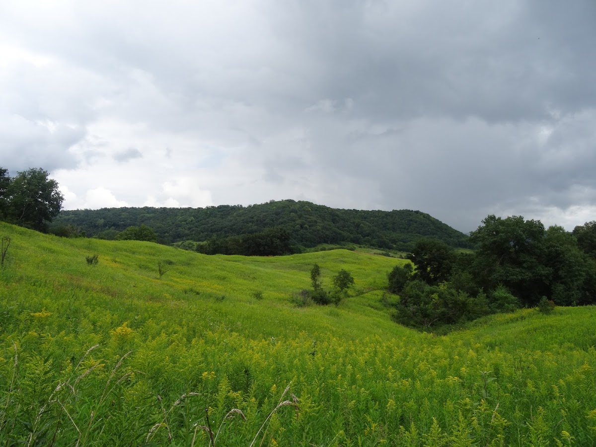 Tunnelville Cliffs State Natural Area