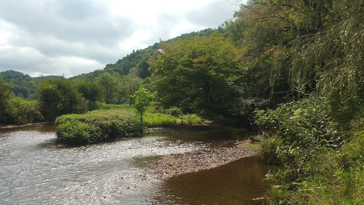 Laurel Fork