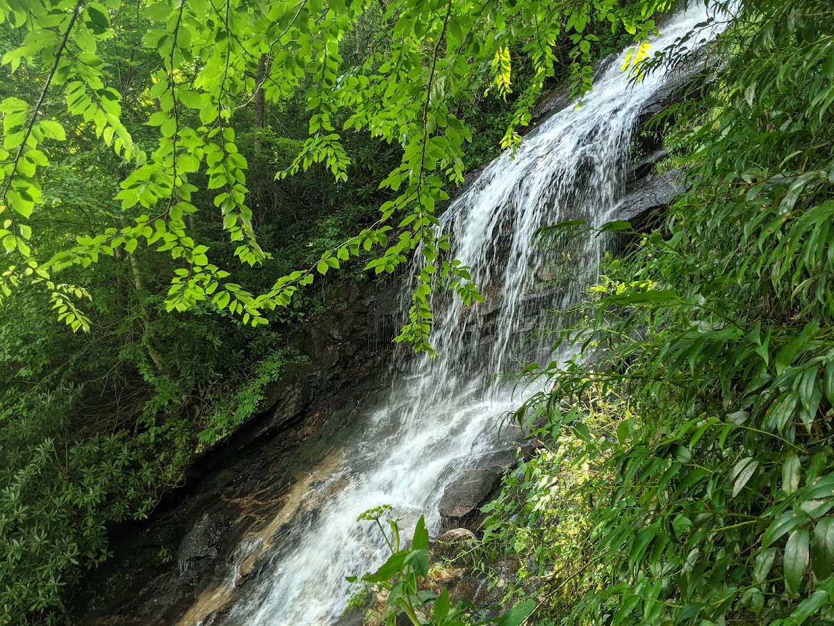 Cascades Trail