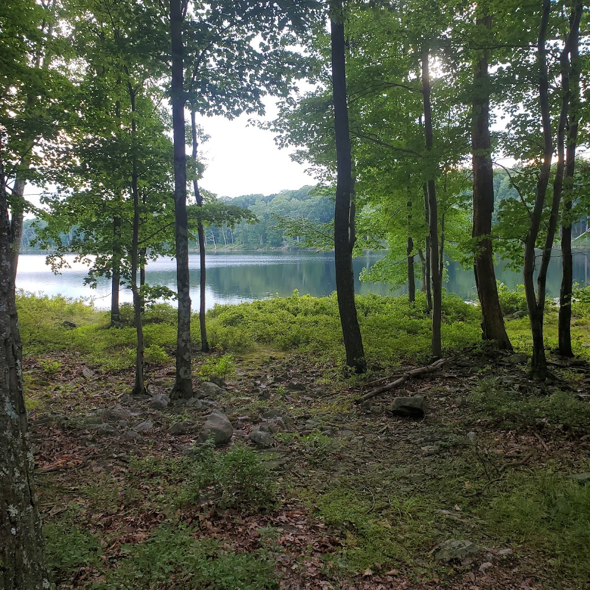 Second Pond