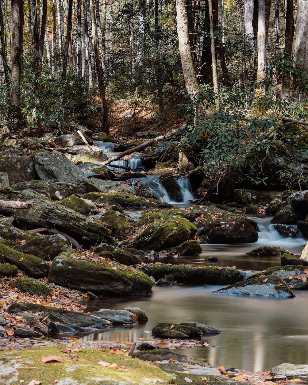 Basin Creek Trail