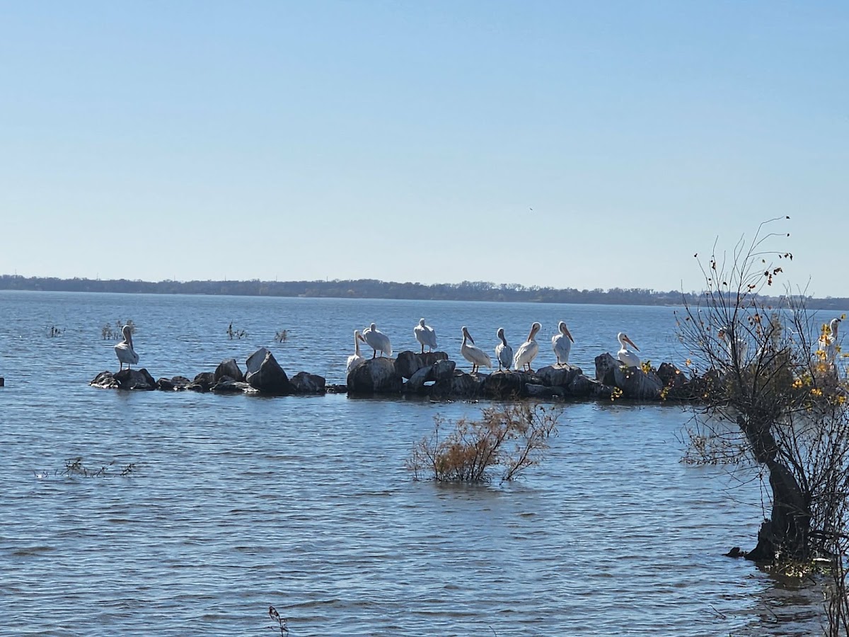 Cheney State Park East Shore Area