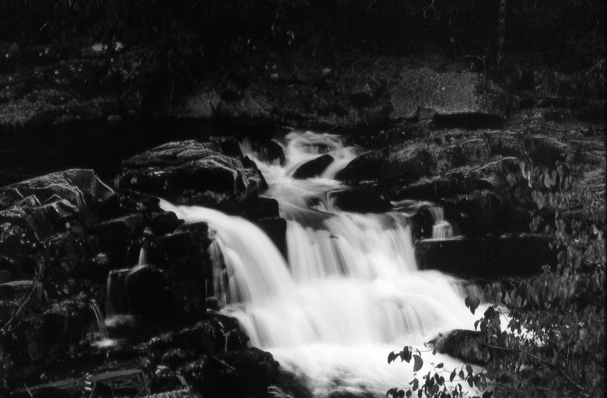 Jarrett Creek