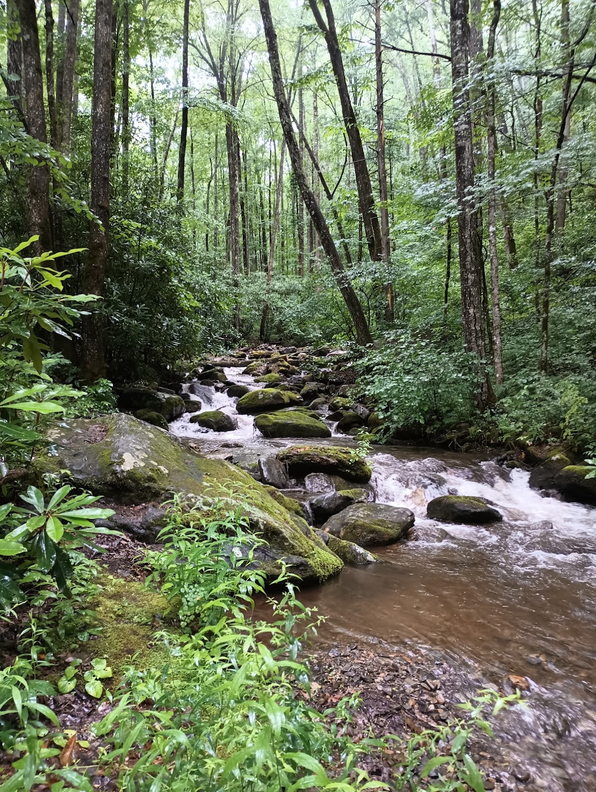 James Creek