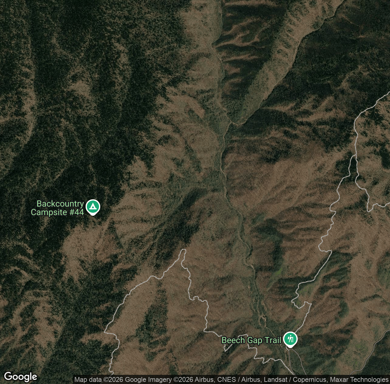 Straight Fork Raven Fork
