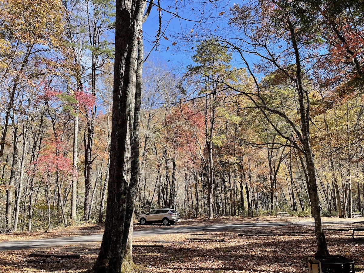 Collins Creek