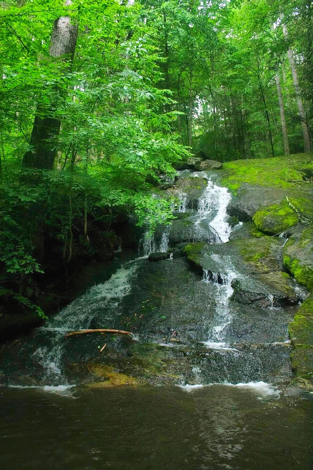 Hatch Brook