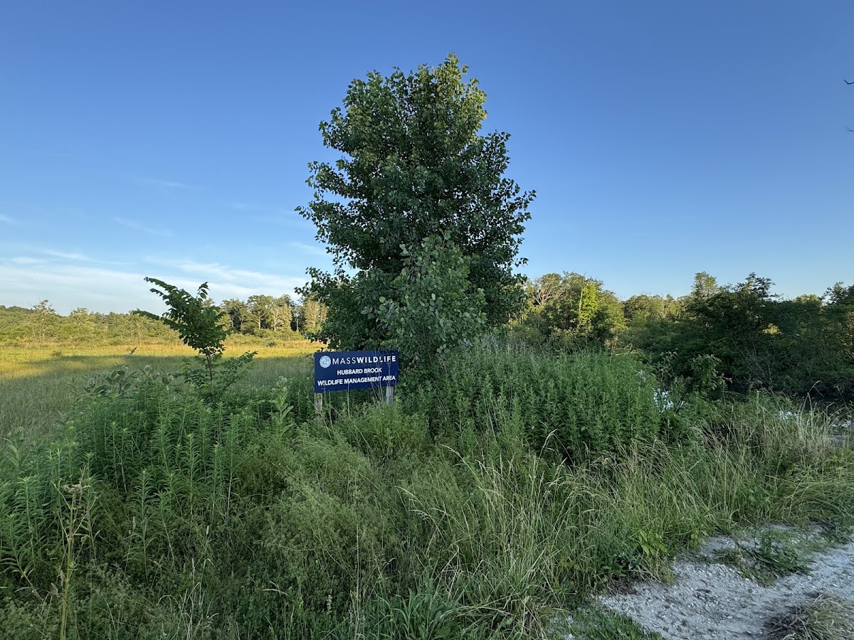 Hubbard Brook