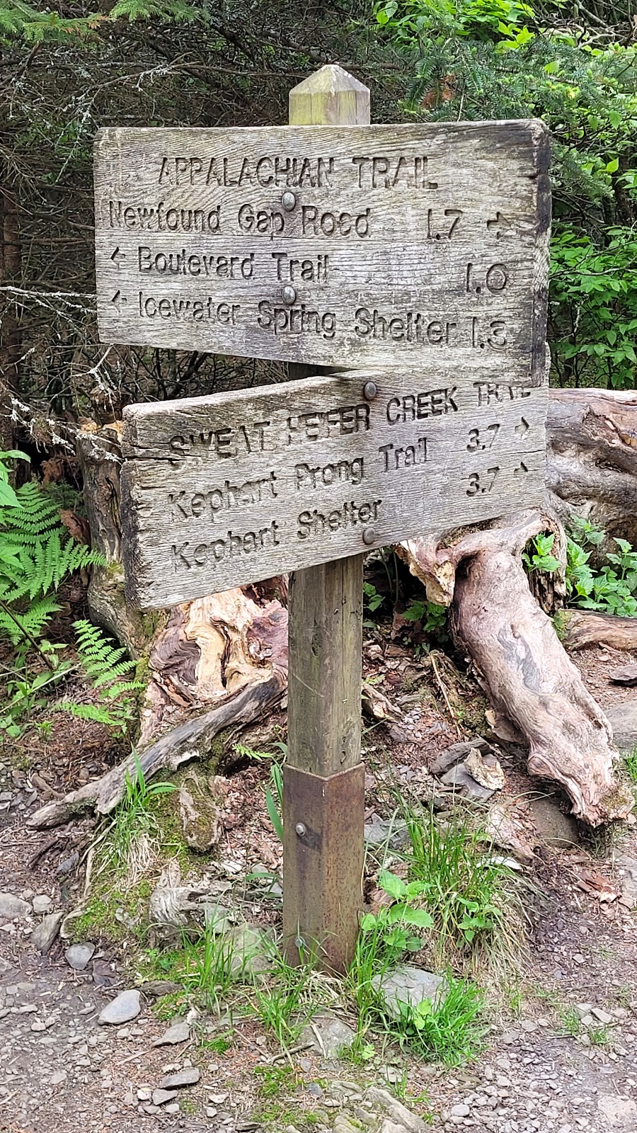 Sweat Heifer Creek