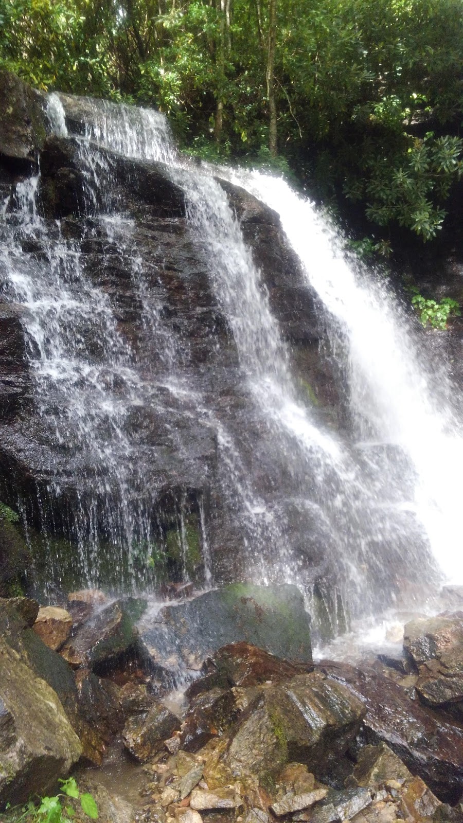 Soco Creek