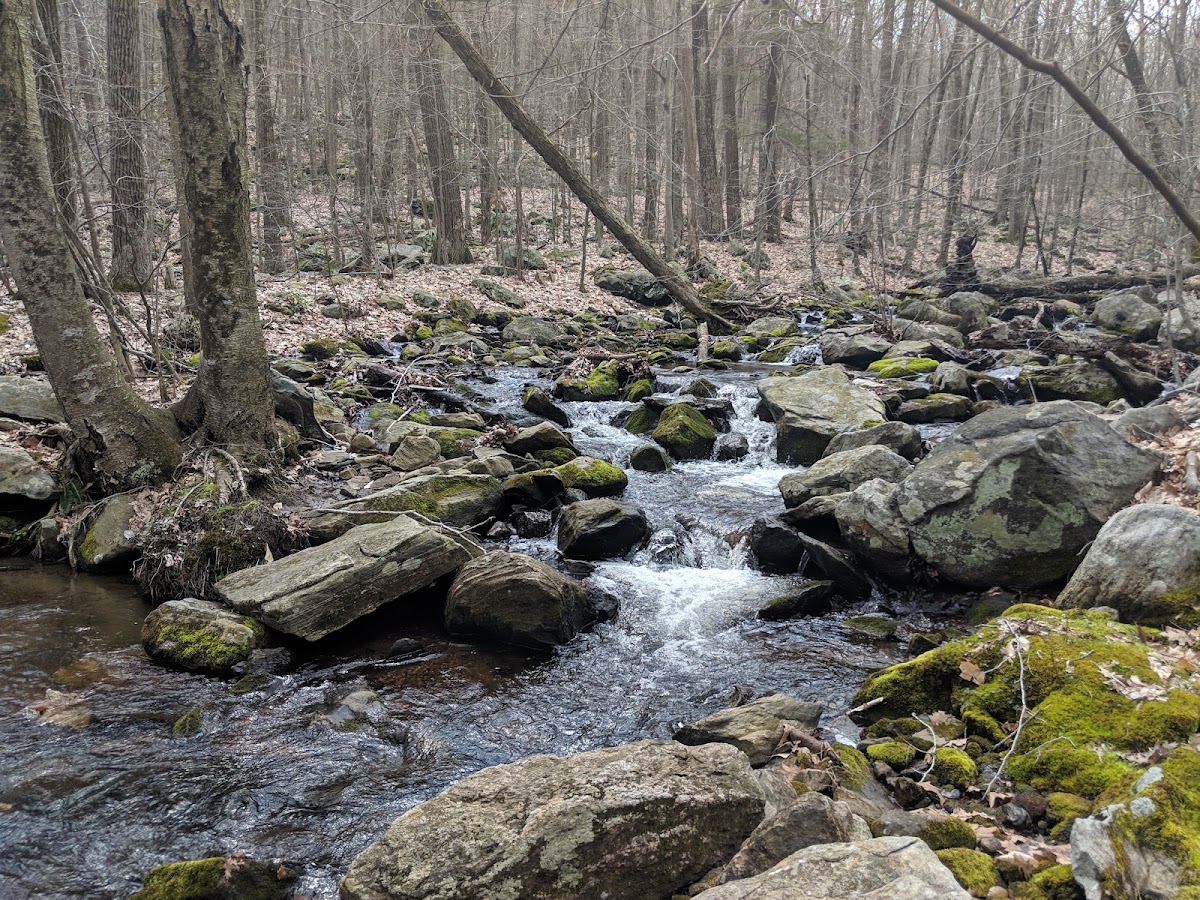Thayer Brook