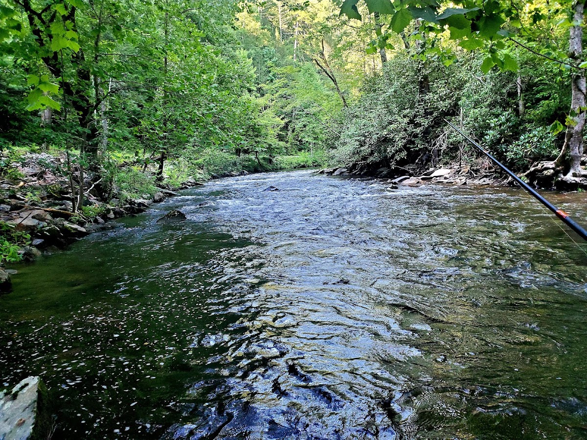 Abrams Creek