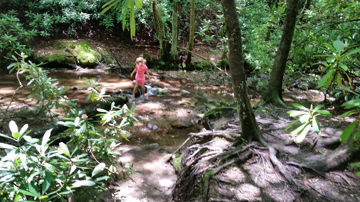 Sims Creek
