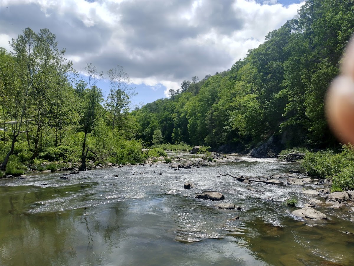 Watauga River
