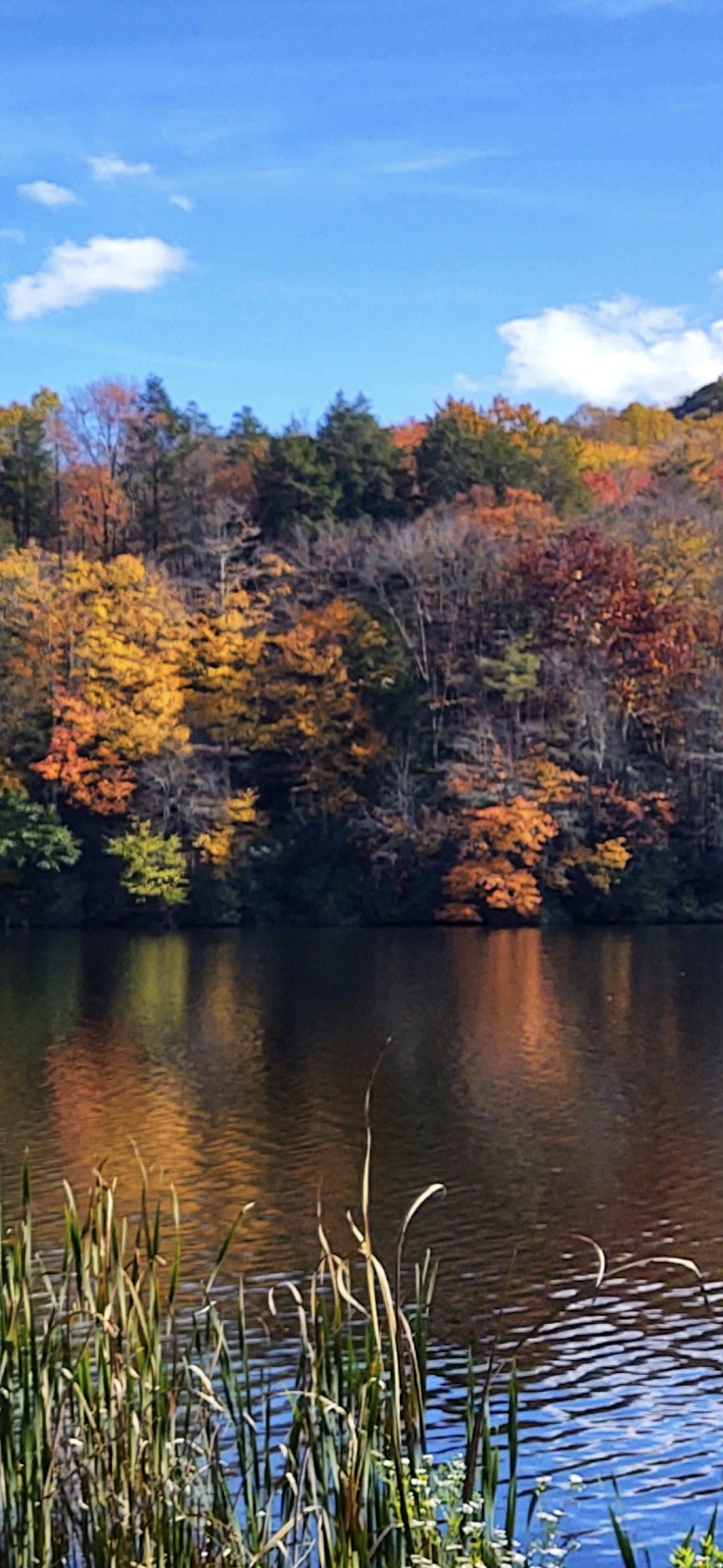 Ripshin Lake
