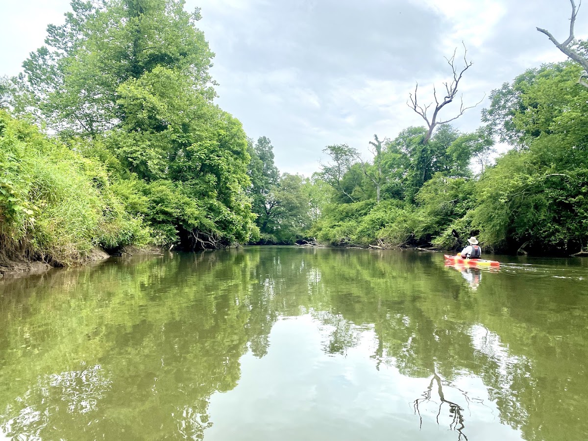 French Broad River