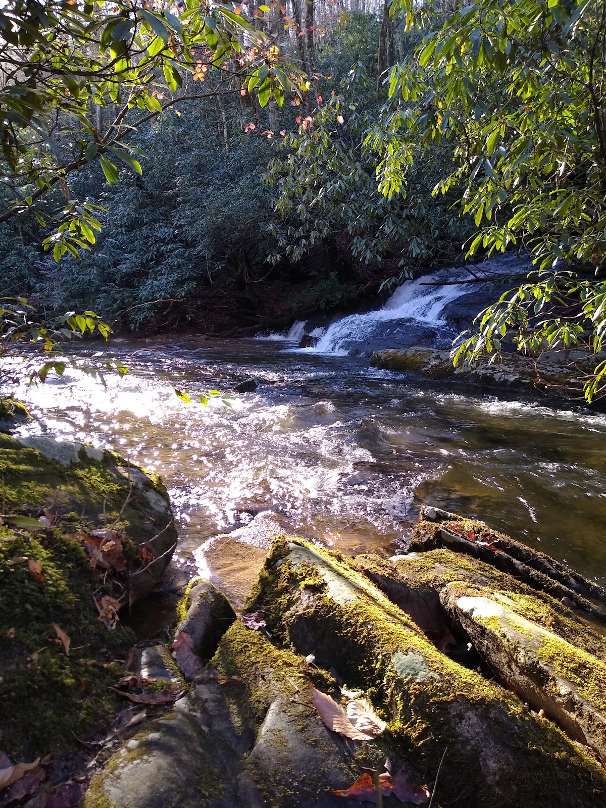 Catheys Creek