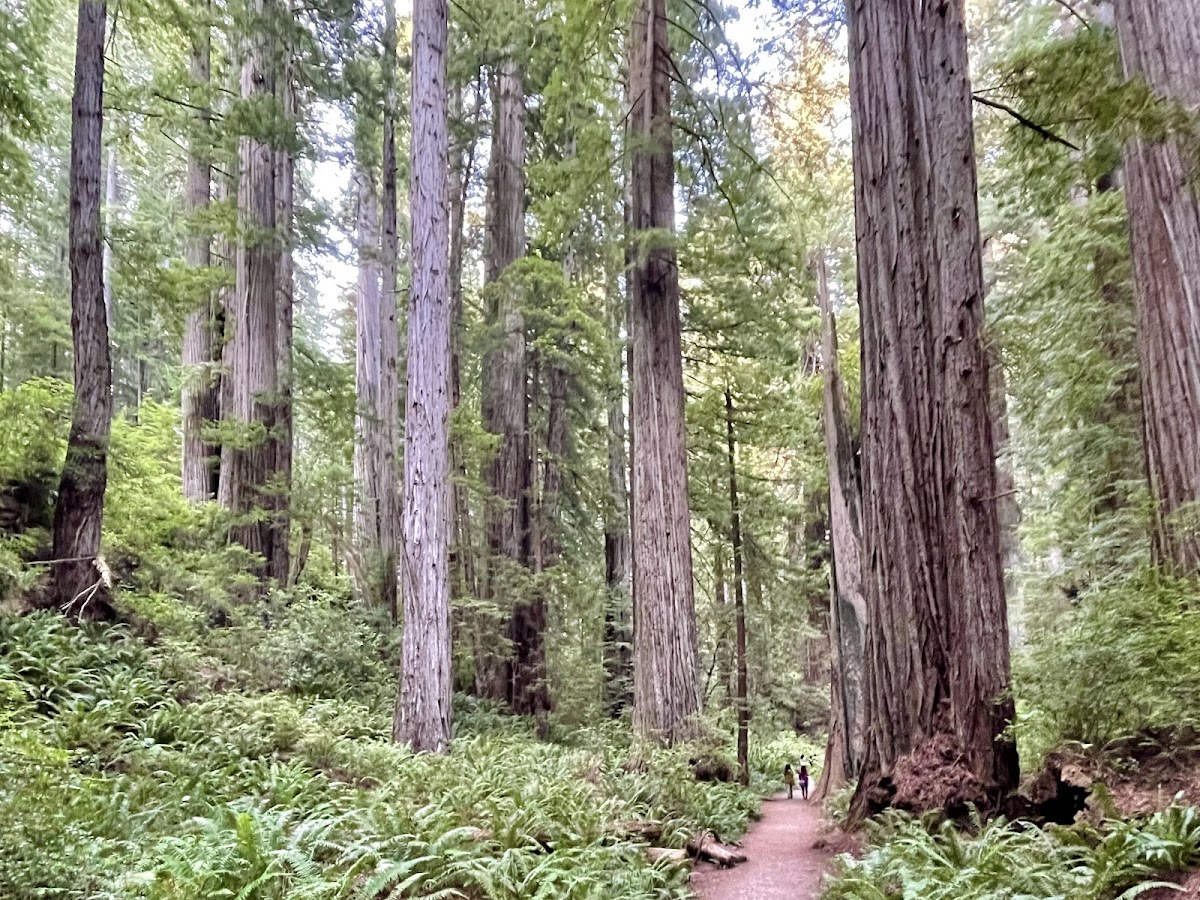 Revelation Trail