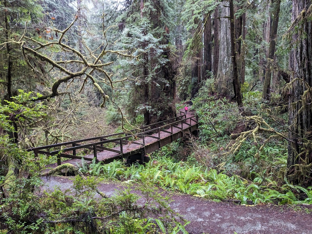 James Irvine Trail