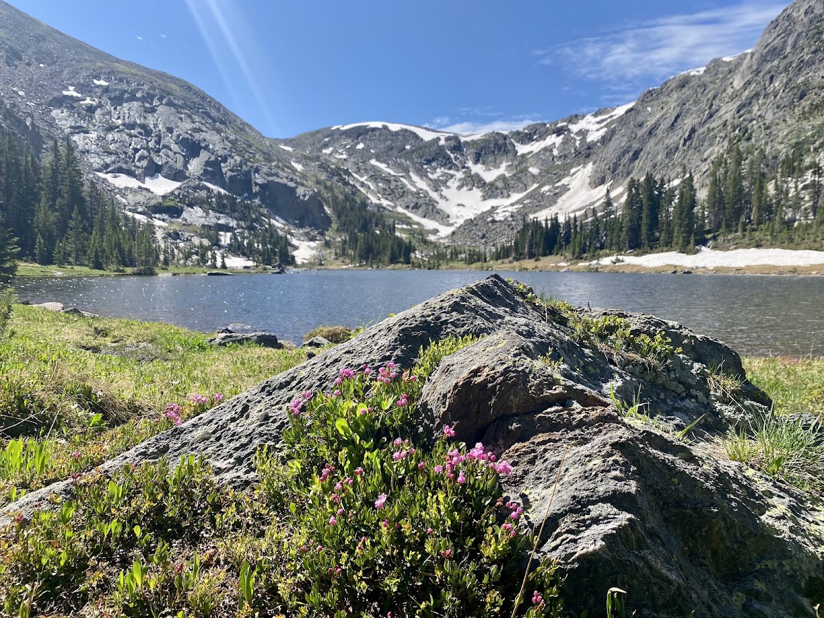 Timber Lake Trail