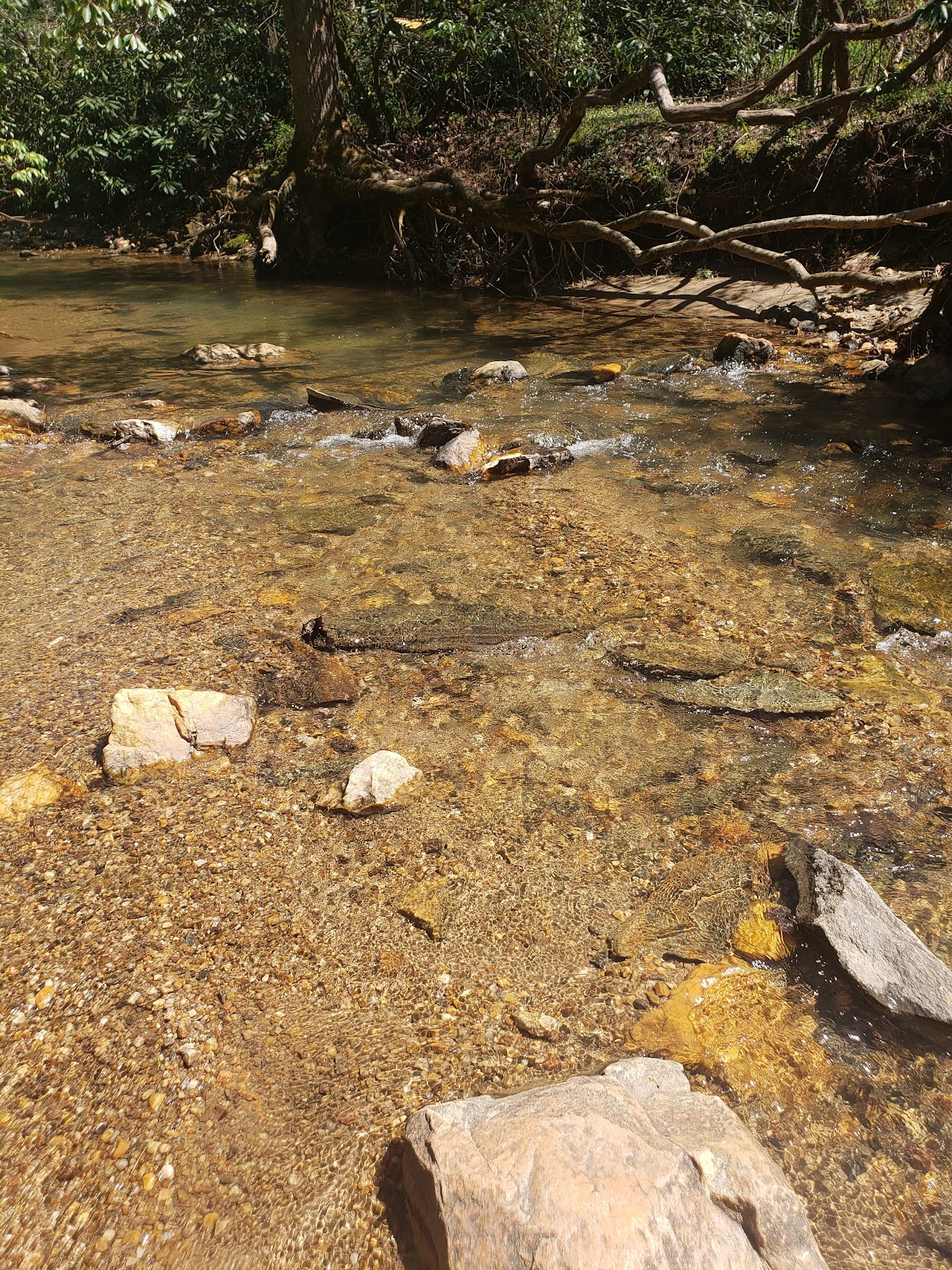 Dingle Creek