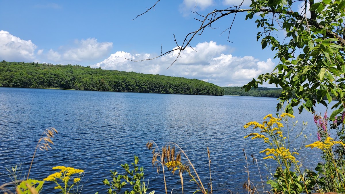 Wangum Lake