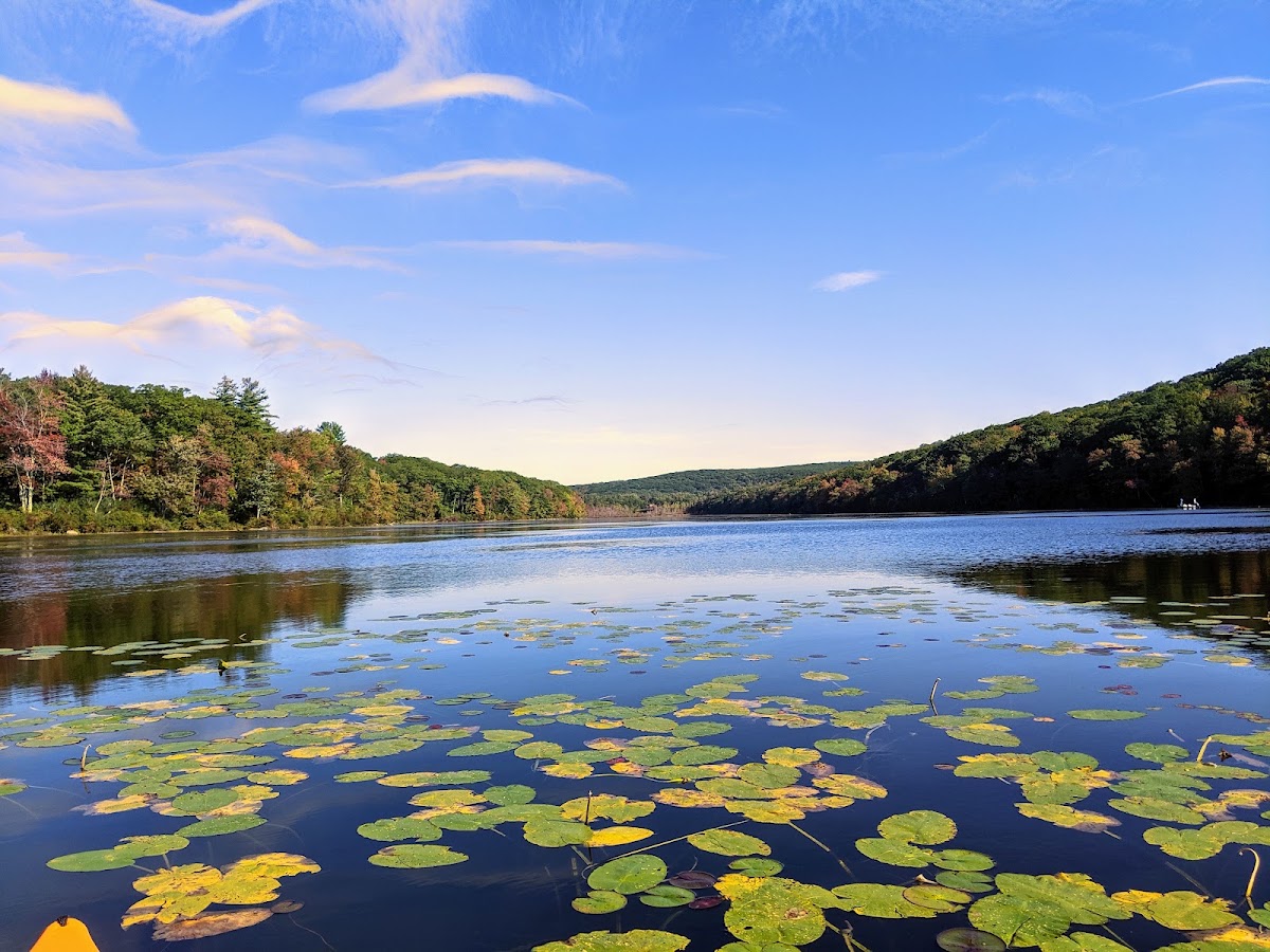 Wood Creek Pond