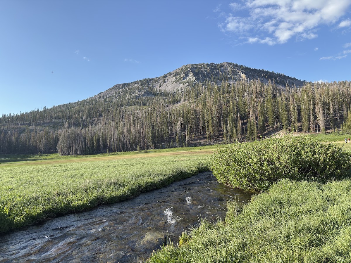 Kings Creek Picnic Area