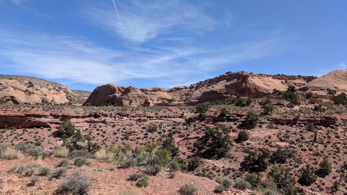 Navajo Mountain -- Rainbow Bridge Trail North