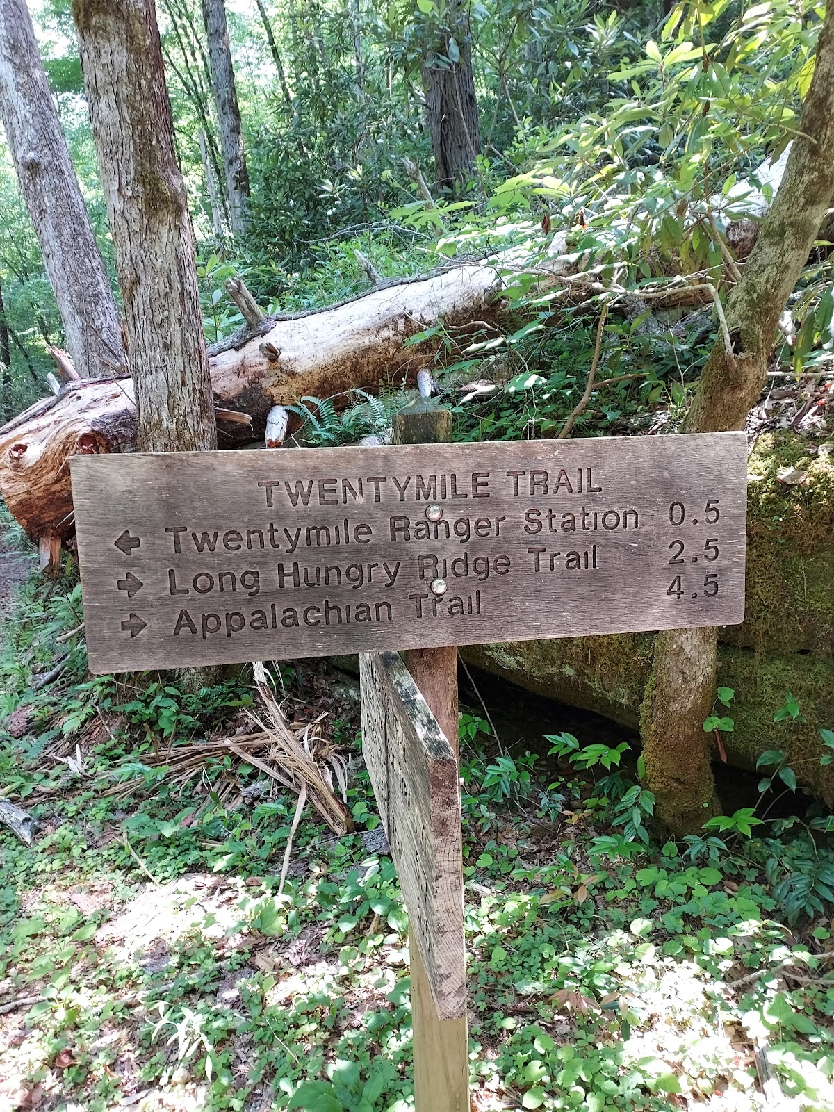 Twentymile Trail