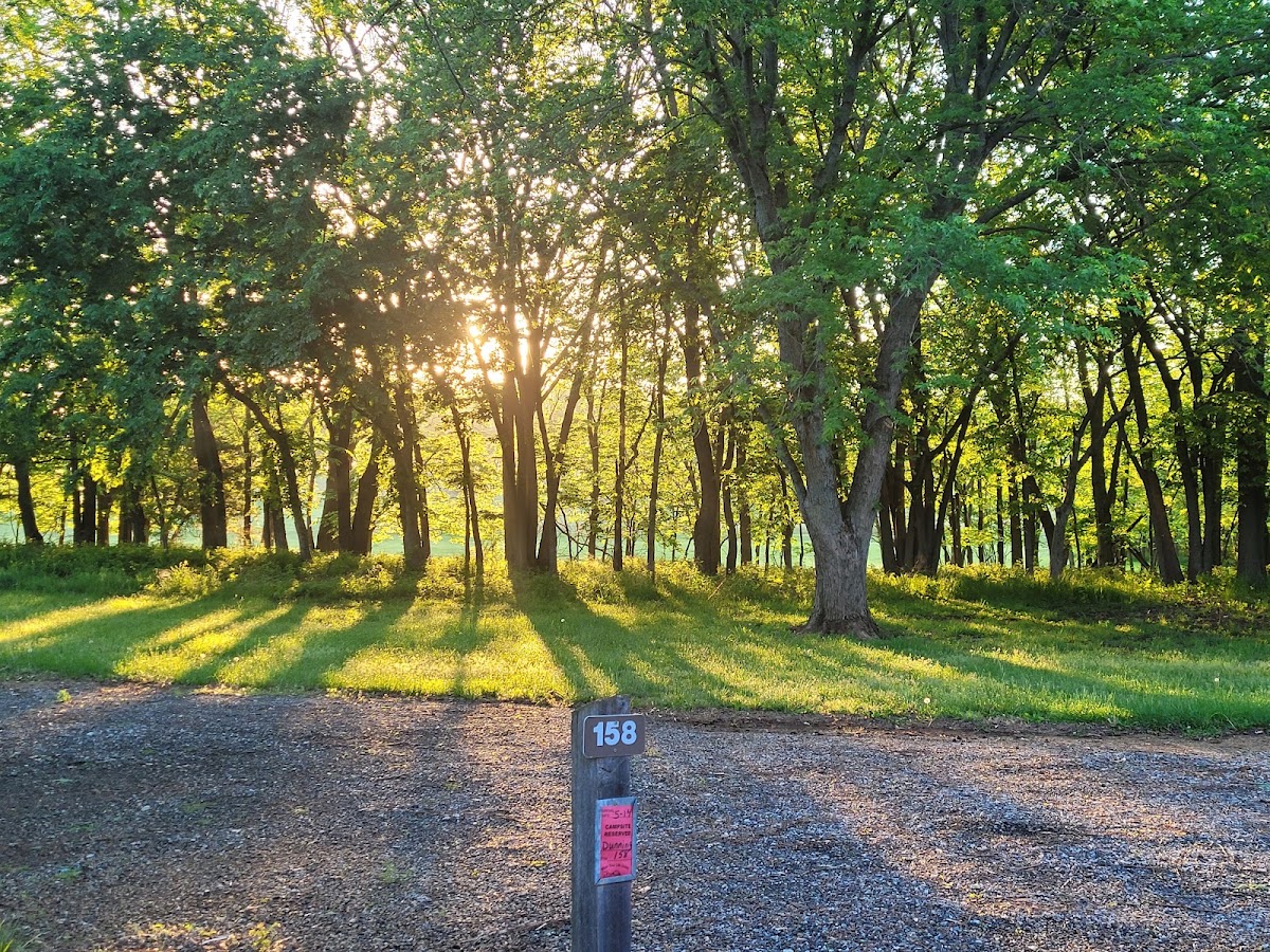 Bloomington Park