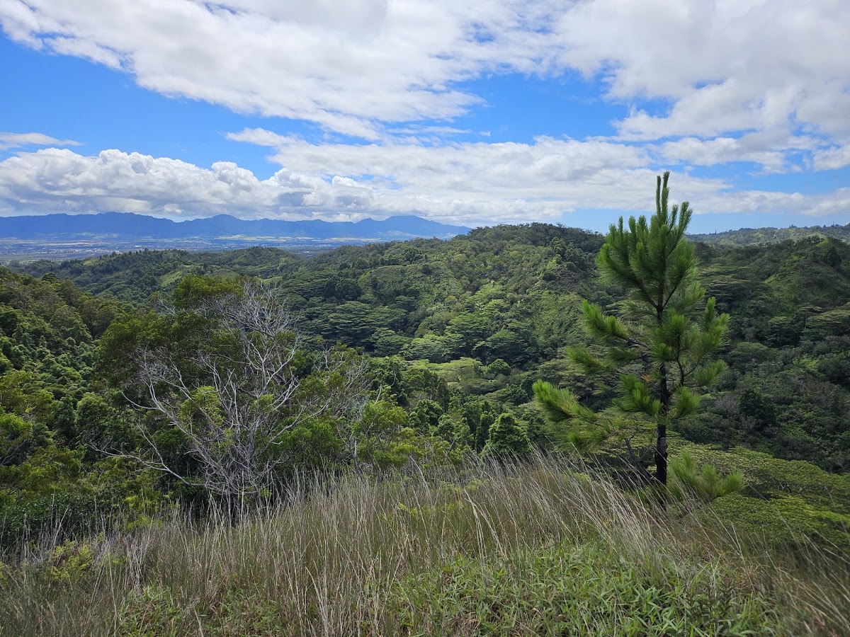 Hamama Falls Trail