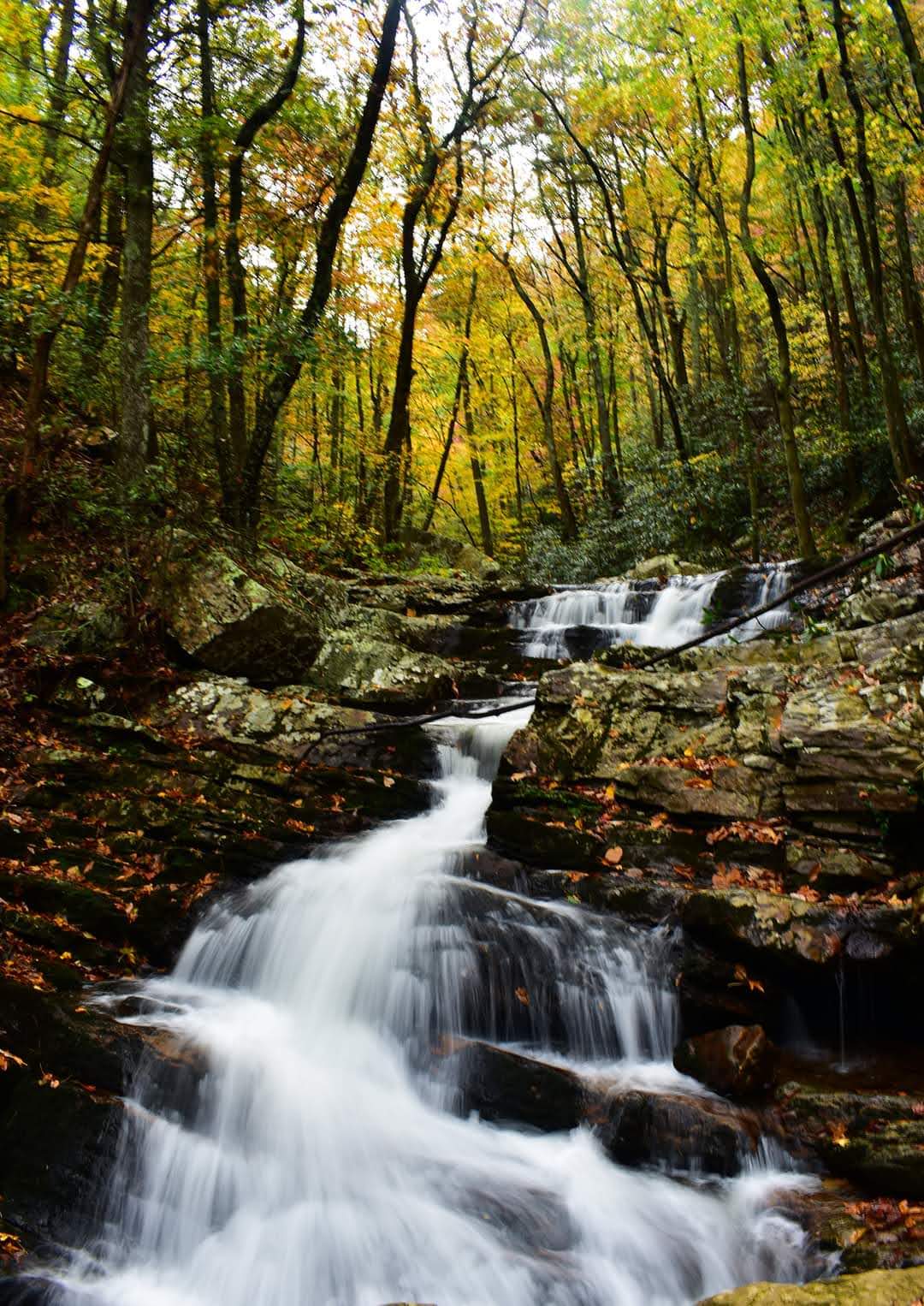 Gee Creek
